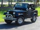 1978 Jeep CJ 4.0 Liter Inline 6 Cylinder